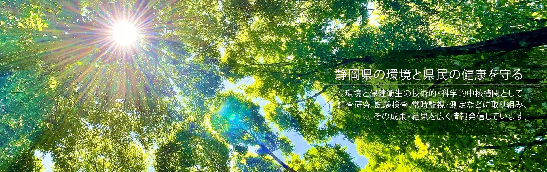 静岡県の環境と県民の健康を守る